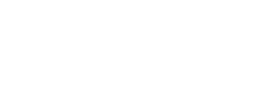 Digital Innovation Logo_white (1)
